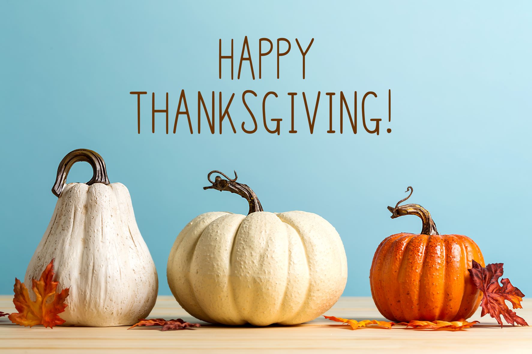 Message from the CEO Thanksgiving Traditions and Transitions FNTI